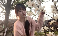 神医狂妃倾天下